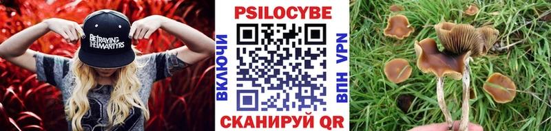 Псилоцибиновые грибы Magic Shrooms  закладки  мега рабочий сайт  Гусев 